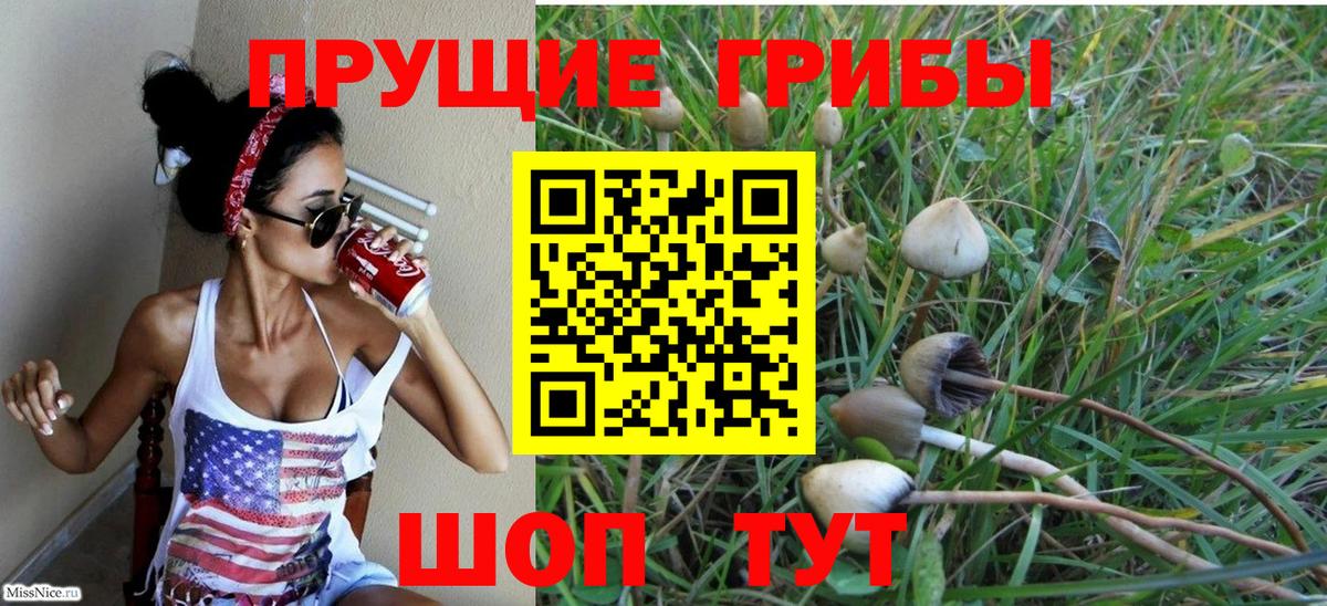 Псилоцибиновые грибы Psilocybe  Псилоцибиновые грибы Cubensis  Вход с VPN  Печора 